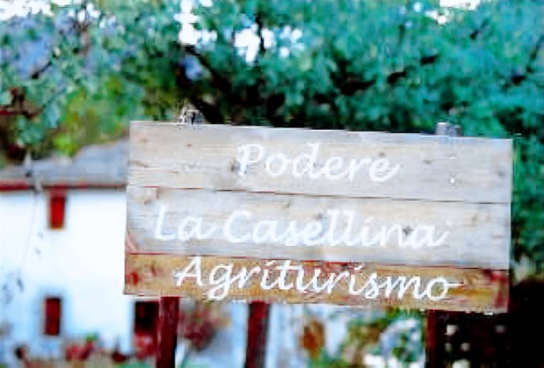 Podere la Casellina - un vero agriturismo familiare: Struttura intera — photo 2