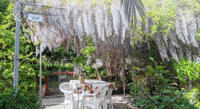 Vacation home | Dogs allowed — photo 4