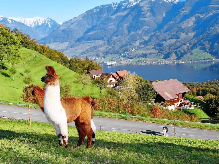 Ferienhaus in Sarnen f&uuml;r max. 4 Personen