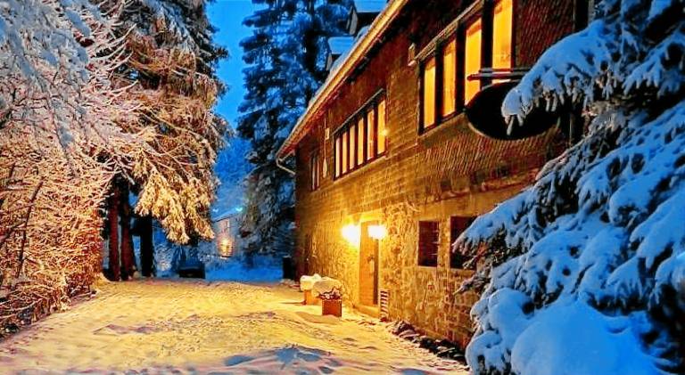 House with 14 rooms for 34 persons in Willingen