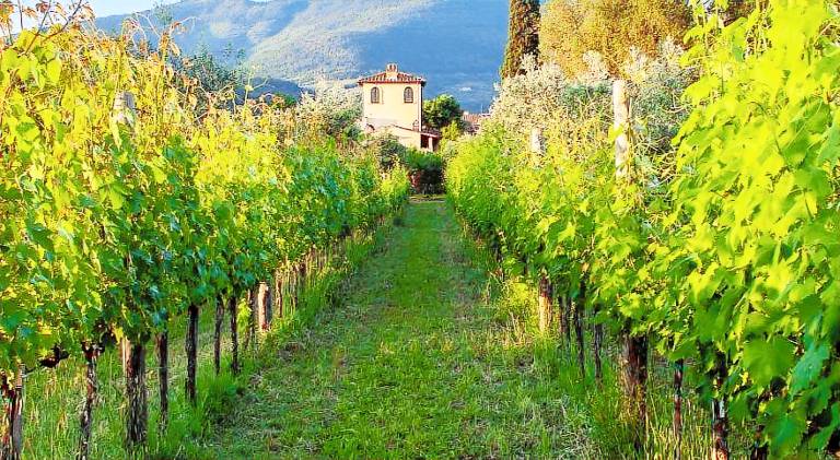 Villa with garden, pool & BBQ in Sesto Fiorentino