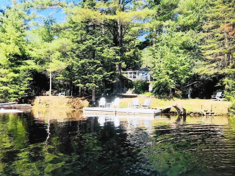 Cabin Bracebridge