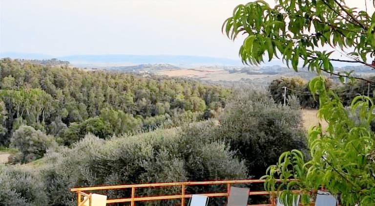Holiday apartment with yard, terrace & private pool | Pet-friendly in Siena