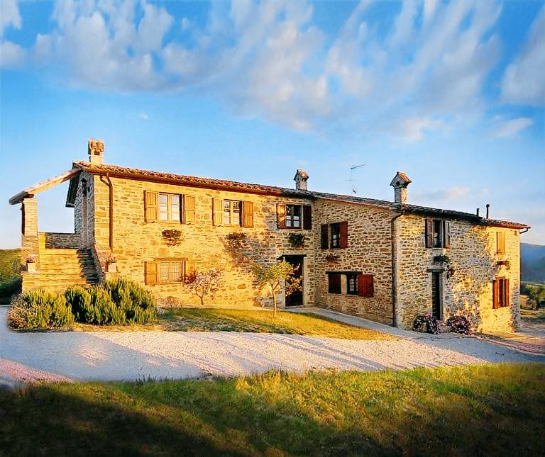 Agriturismo Ampugnano a Gubbio: Ampugnano Leccino — photo 2