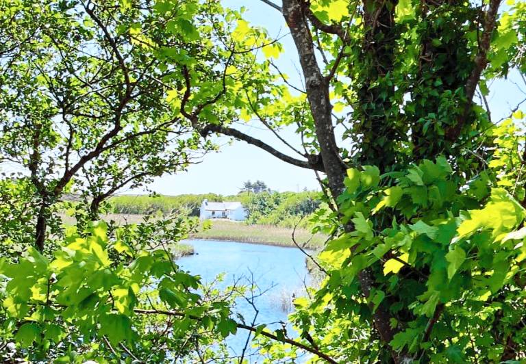 River Cottage