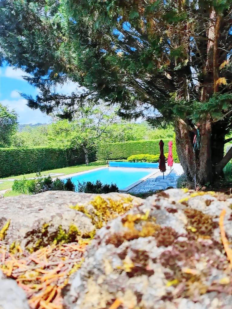 Maison de vacances Sergeac