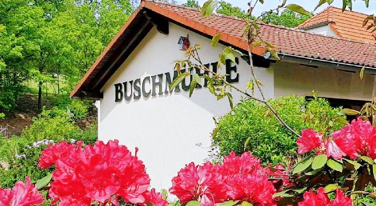 Ferienwohnung Rochlitz