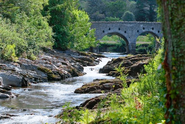 Cottage  Kenmare