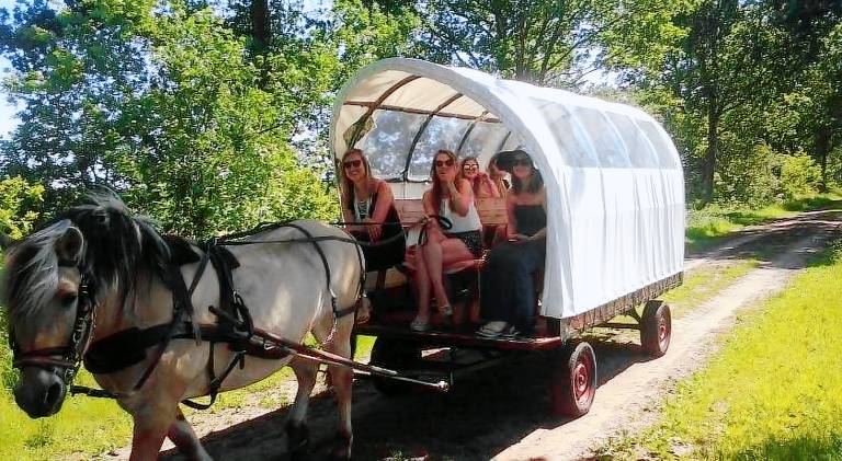Camping  Dwingeloo