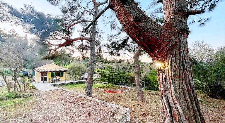 Lovely holiday apartment | Dogs allowed in Paxos