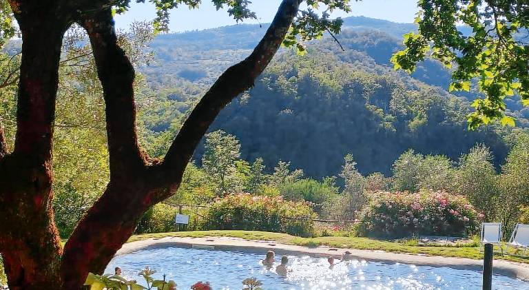 Farm with pool — photo 3