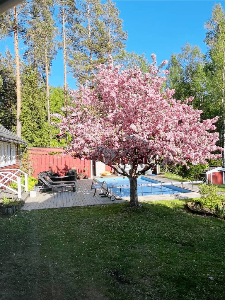 Charming property with private pool — photo 4