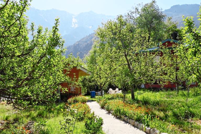 Cascade Mountain retreat manali — photo 3