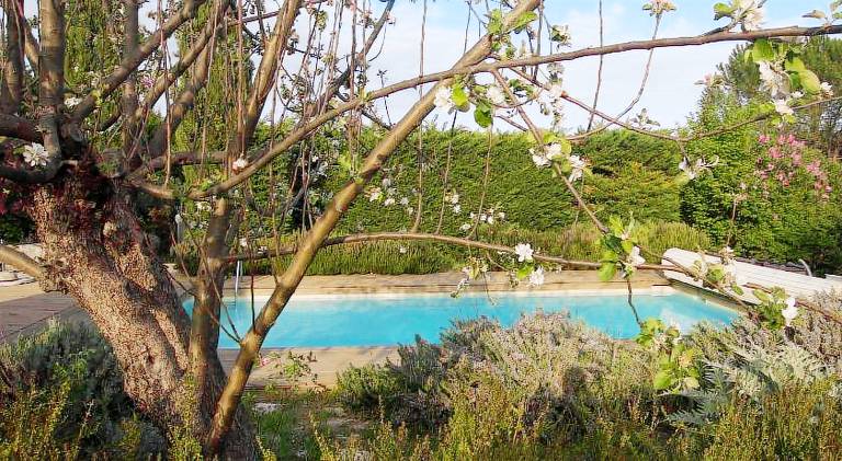 Vacation home with pool in Manosque