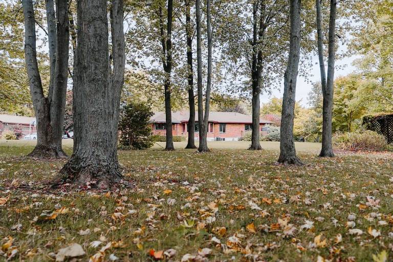 Cabin Bayfield