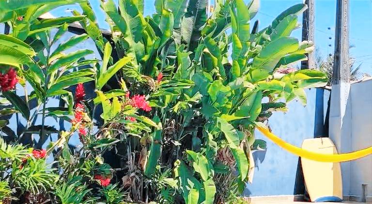 House with pool | Close to the beach | Dogs allowed in Itanhaém