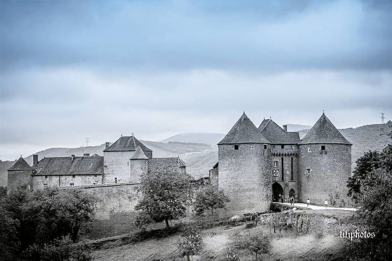 House Vinzelles