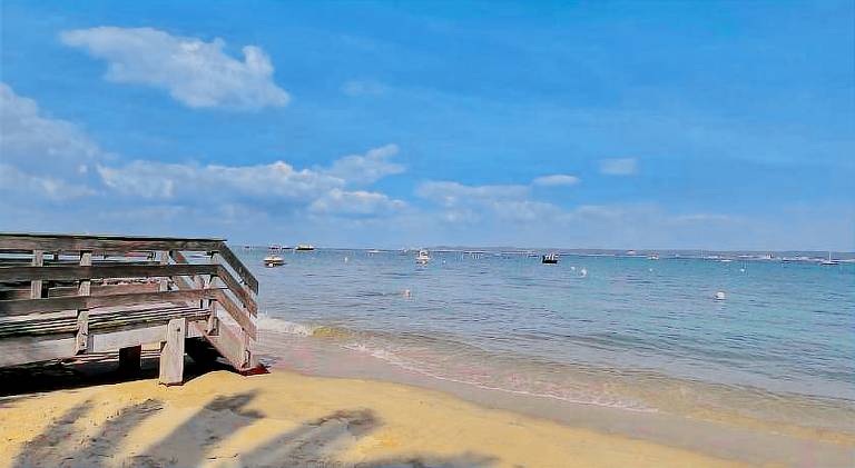 Rental apartment | Beach nearby | Pet-friendly in Lège-Cap-Ferret