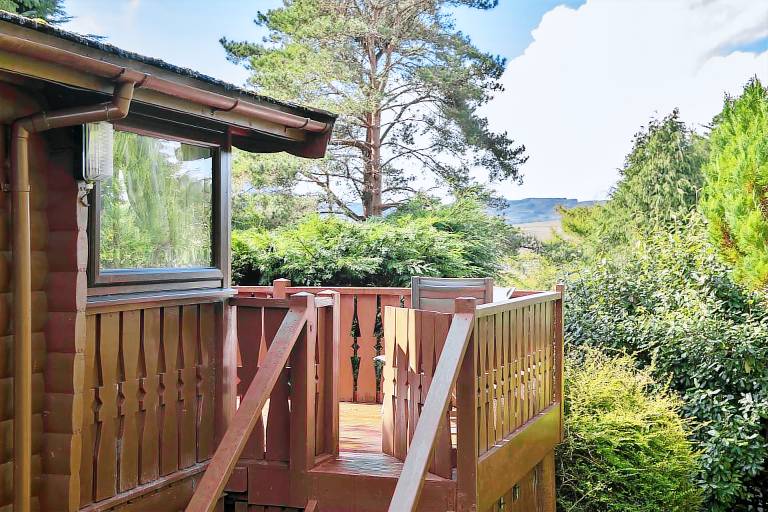 Cabin Trawsfynydd