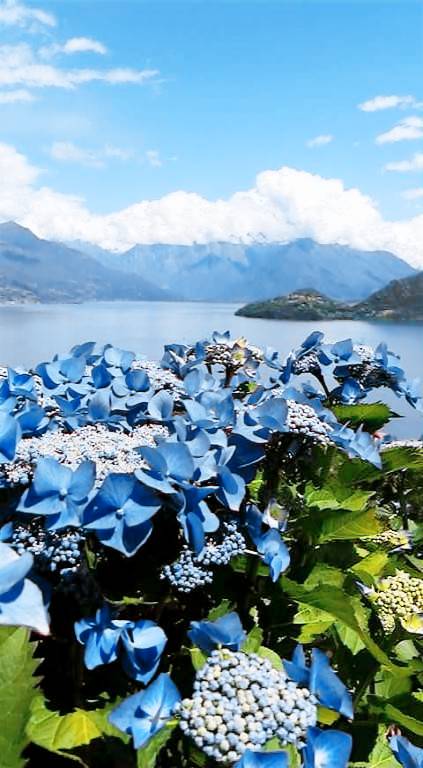 Privatzimmer Pianello del Lario