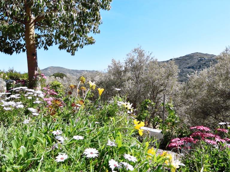 Fully equipped charming vacation home with terrace, garden & barbeque | Mountain view | Pets allowed — photo 3