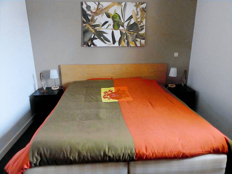 FR518 Ferienhaus im Koudum