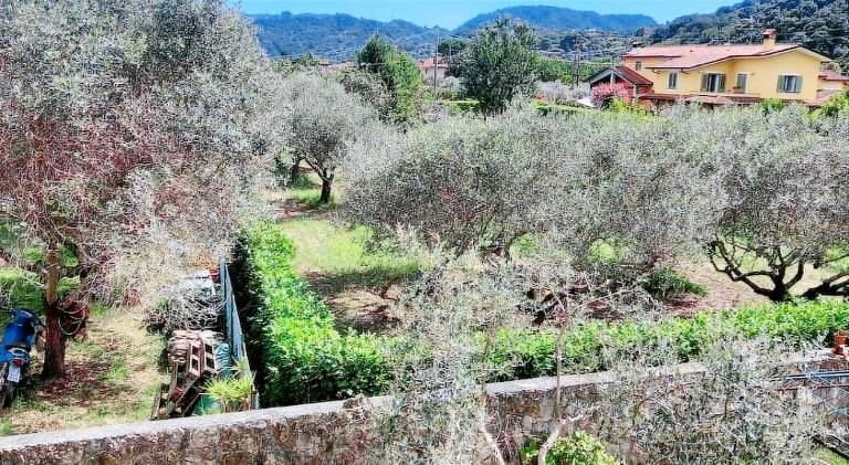 Vacation home with 2 rooms for 4 persons — photo 3