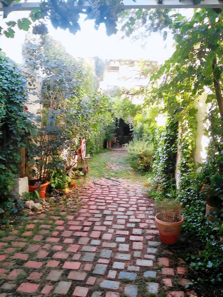 foto3