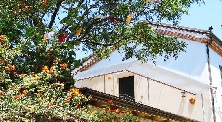 Le tre querce di casa mia — photo 3