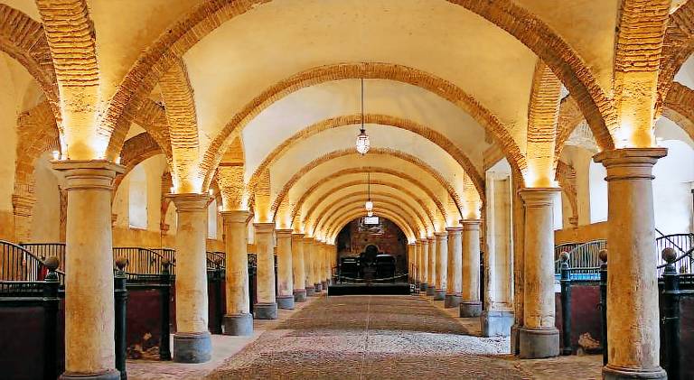 Nice rental apartment | Close to Mosque–Cathedral of Córdoba | Pets are welcome — photo 4