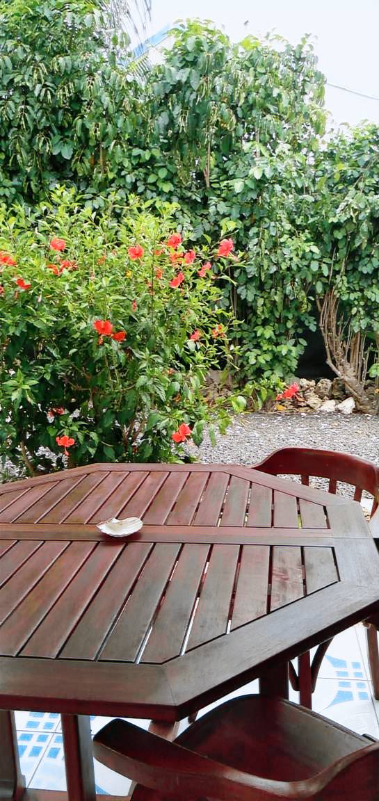Bed & Breakfast Sainte-Anne