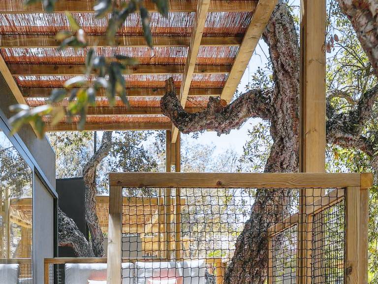 Child-friendly mobile home with terrace & pool | Dogs allowed — photo 5