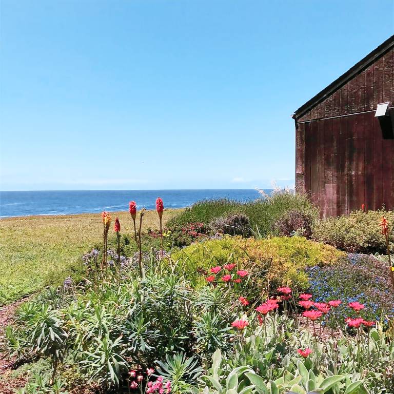 House Mendocino