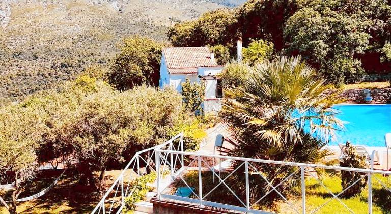 Villa with pool — photo 4