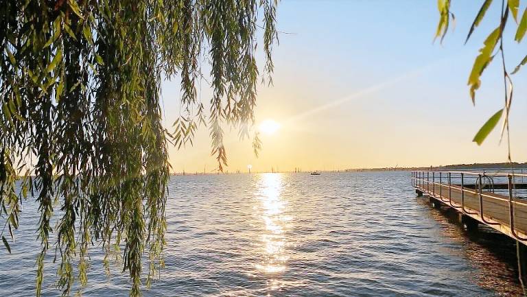 House Mulwala