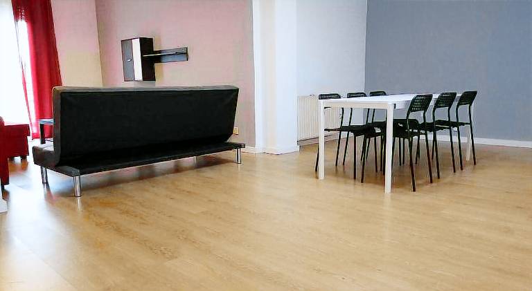 Big rental apartment | Pets are welcome — photo 4
