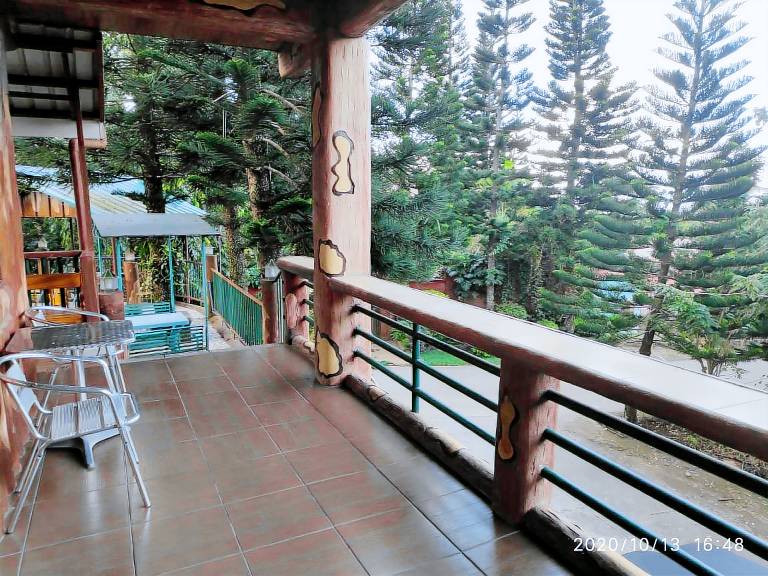 Beautiful apartment | Dogs allowed — photo 3