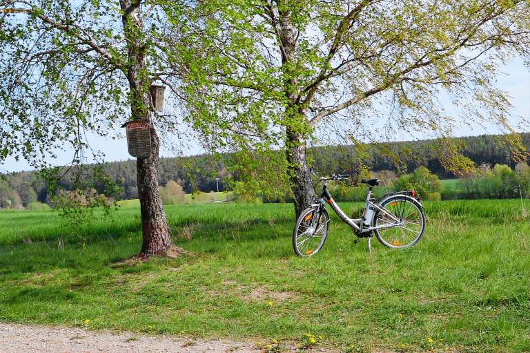 Landhotel Rangau Gasthof & Brennerei (Markt Erlbach) — photo 5