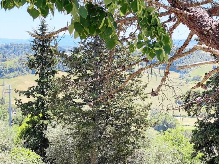 Nice holiday apartment | Pets allowed — photo 2