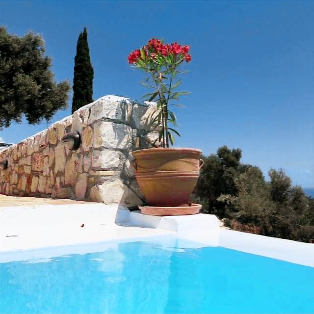 Child-friendly spacious farm with private pool, patio & garden | Pool view | Pet-friendly — photo 4