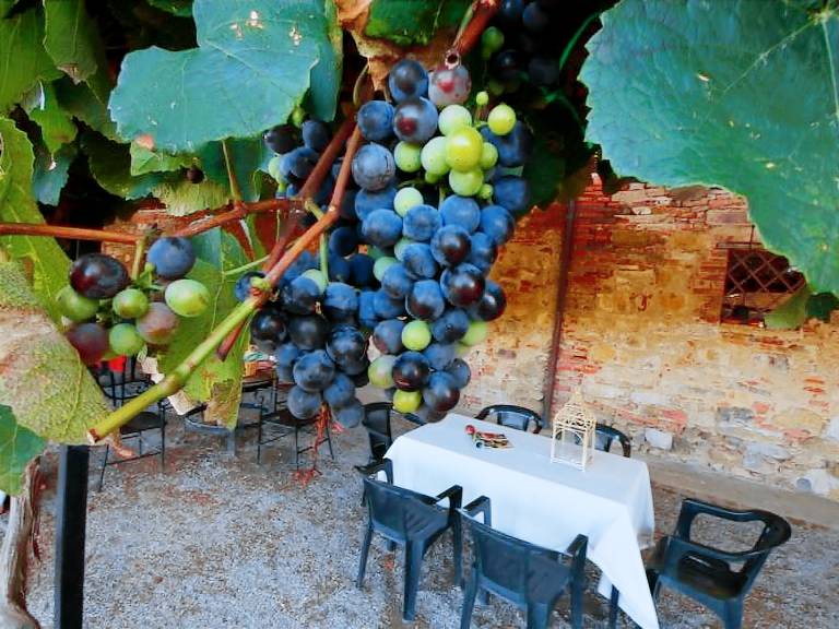 Ferienwohnung  Trasimenischer See