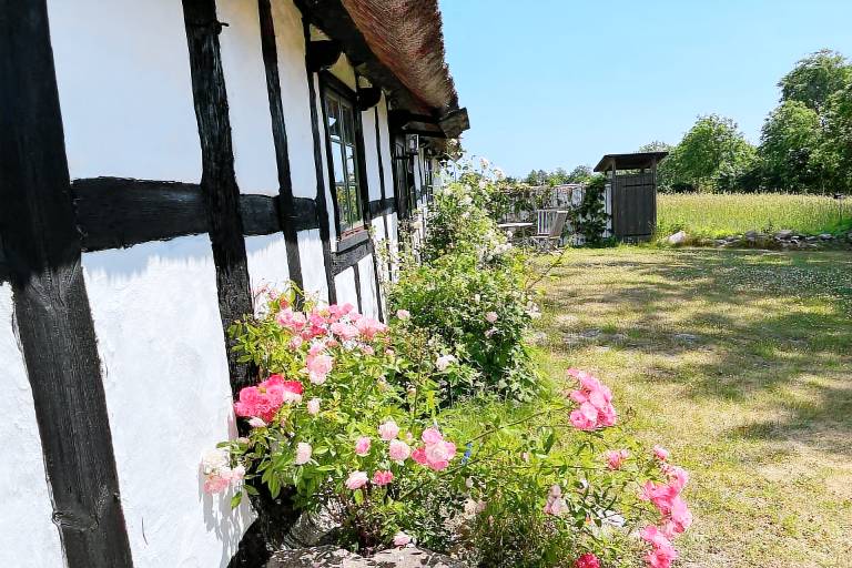 House with garden — photo 5