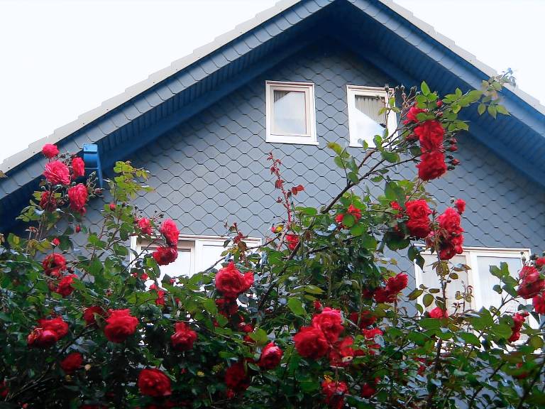 113 m² Ferienwohnung