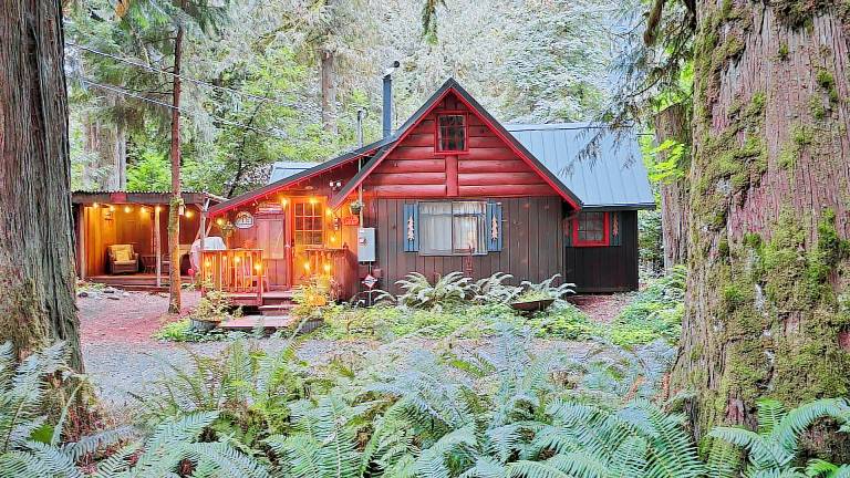 Cabin Rhododendron
