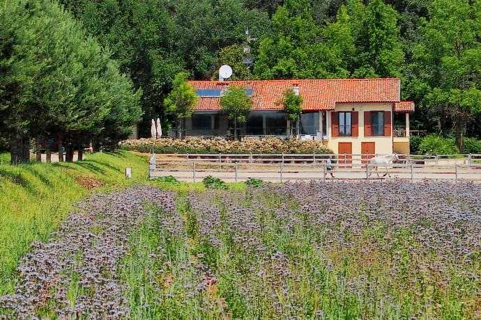 Casale La Pinetina