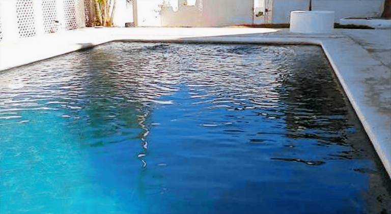 Beautiful holiday apartment | Next to the beach | Dogs allowed — photo 3