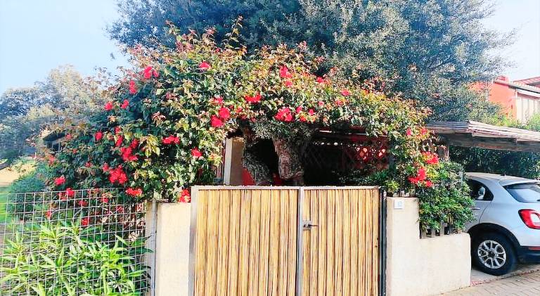 Rental apartment with 2 rooms for 5 persons in Olbia