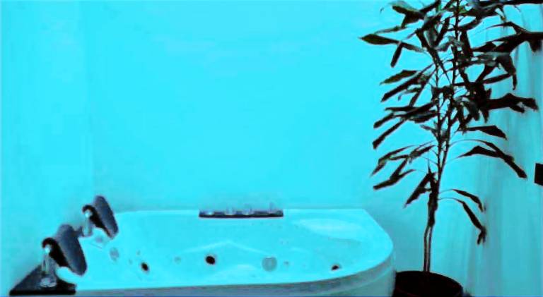 Apartment with hot tub | Pets allowed — photo 3