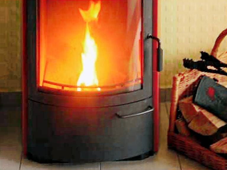 Ferienhaus mit Hund in Börgerende, Rethwisch für max. 2 Personen