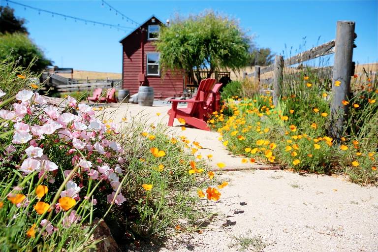 Cabin Marin County